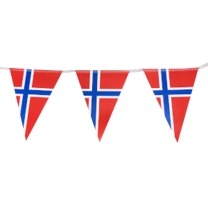 Right Banner Image