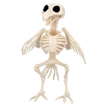 Vogelskelett Dekoration - 16x14x18 cm