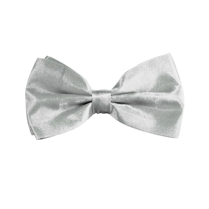 Schmetterlingsfliege in Silber
