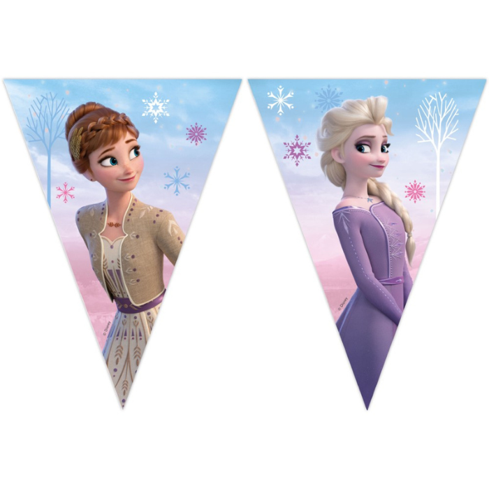 Frozen 2 Bannerset mit 9 Flaggen 