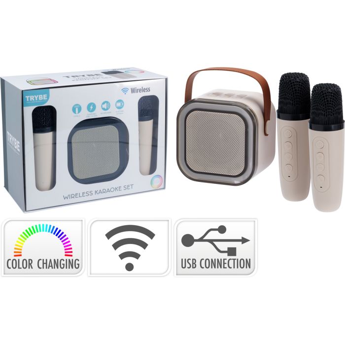 Drahtloses Karaoke-Set mit Lautsprecher und 2 Mikrofonen