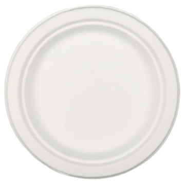 26 cm Teller 20x biologisch abbaubar