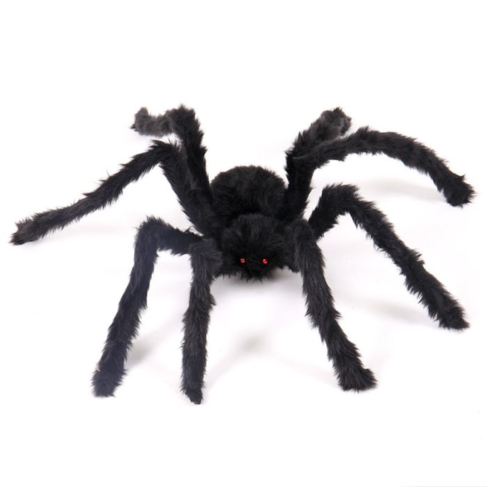 Riesige Spinne 90 cm