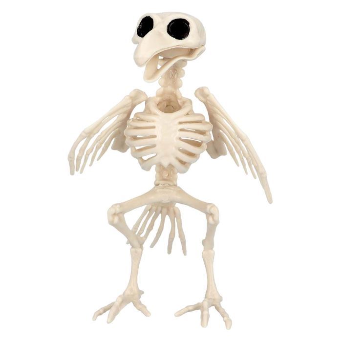 Vogelskelett Dekoration - 16x14x18 cm