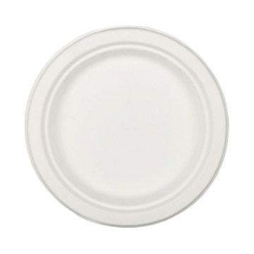 22,5 cm Teller 20x biologisch abbaubar
