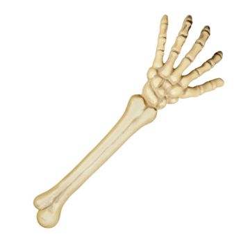 Halloween Skelettarm - 46 cm