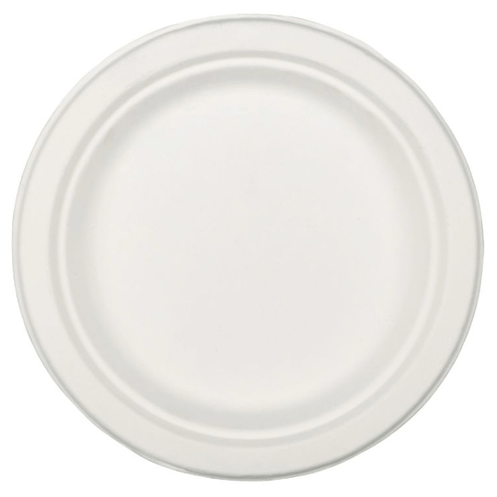 26 cm Teller 20x biologisch abbaubar