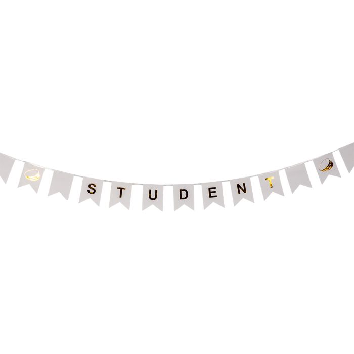 Studentenbanner-Girlande mit Fahnen 3 m