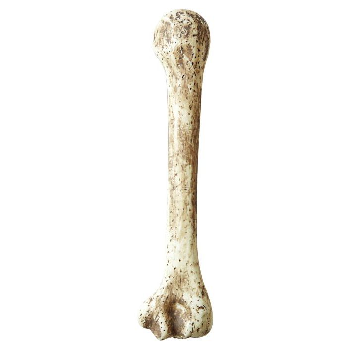 Höhlenmensch-Knochen - 36 cm