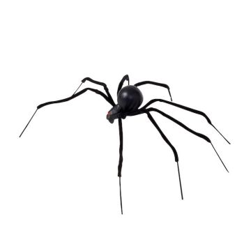 Biegsame riesige schwarze Witwe - 90 cm