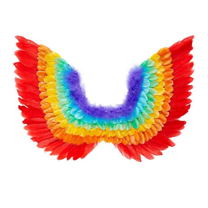 Regenbogenflügel