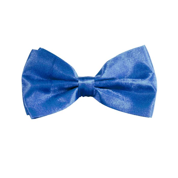 Blaue Fliege