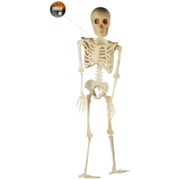 Halloween-Skelett mit leuchtenden Augen 91 cm