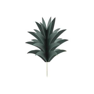 Hawaii Ananas-Topper x6