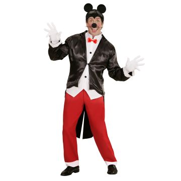 Elegantes Musketierkostüm für Herren