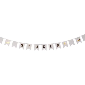 Studentenbanner-Girlande mit Fahnen 3 m