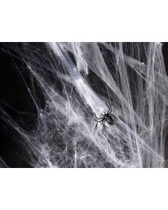 Spinnweben mit Spinne 20g