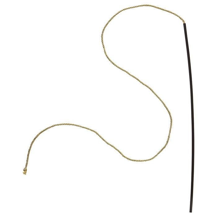 Cirkus Löwe Zähmer Peitsche