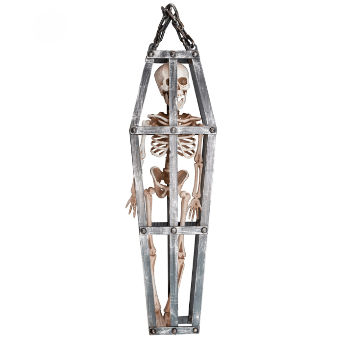 Skelet i bur - 50 cm