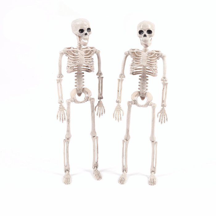 Halloween Skelett 40x10 cm