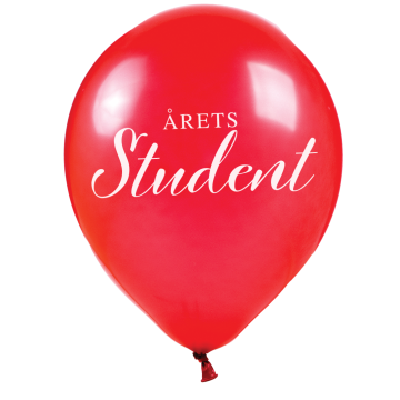 Jahresabschluss Ballons Rot 10x - 25cm