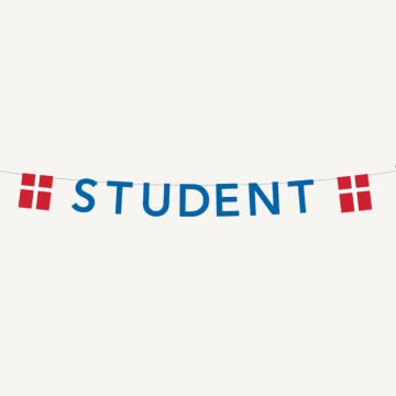 Blaue Studentengirlande mit Flaggen 0,27X4 m