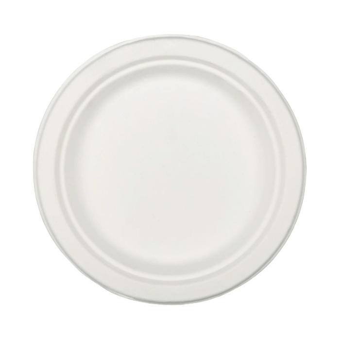 22,5 cm Teller 20x biologisch abbaubar