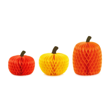 Kürbis-Honeycombs 3x - 18-30 cm