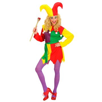 Narrenkostüm für Damen mit Kleid