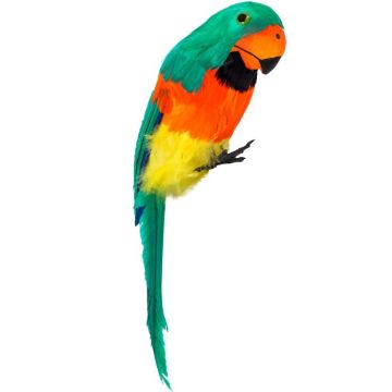 Grüner Papagei mit Federn