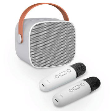 Karaoke to go inkl. 2 Mikrofonen