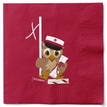 Servietten mit Eule und roter Abiturmütze 20x Det Gamle Apotek