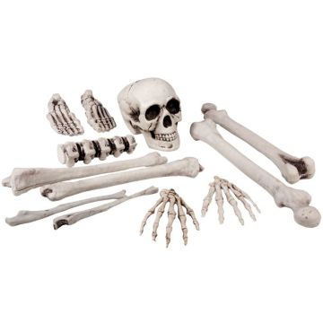 Halloween-Skelett mit Schädel und Knochen 12 Teile - 40 cm