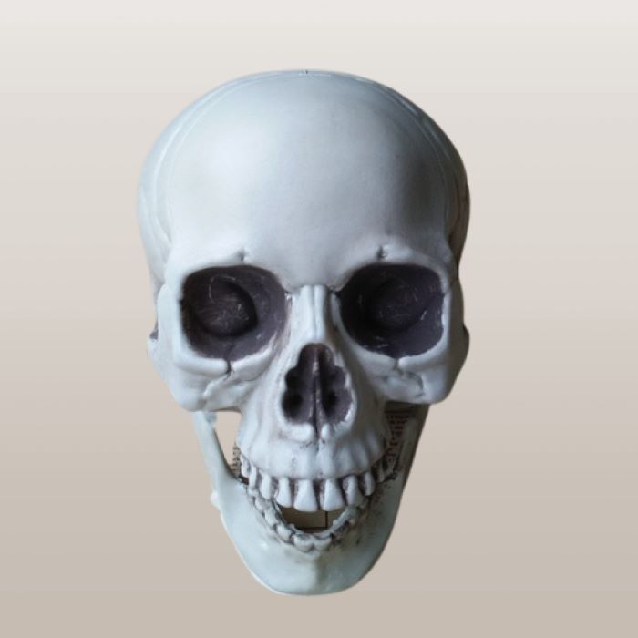 Schädel-Dekoration - 18 cm