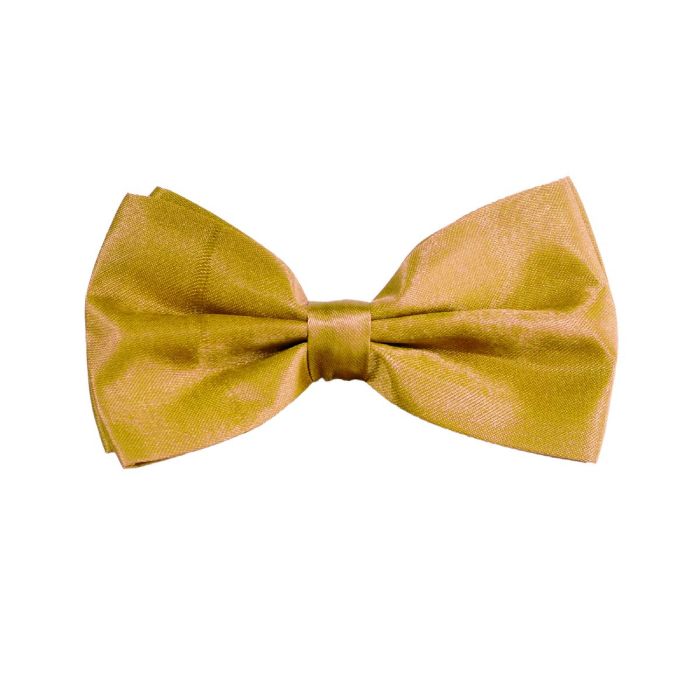 Goldene Fliege