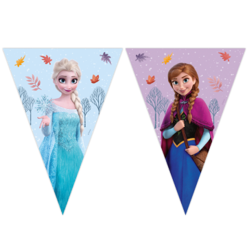 Frozen 2 Bannerset mit 9 Flaggen 