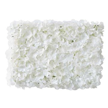 Weiße Blumenwand - 63 x 45 cm
