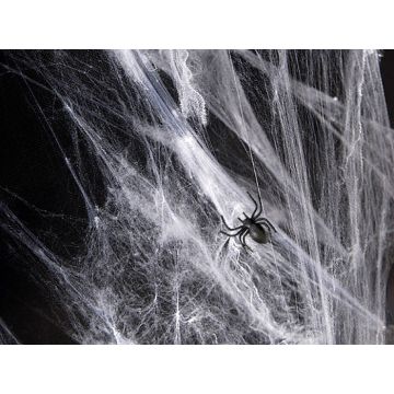 Spinnweben mit Spinne 20g