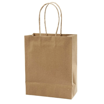 Braune Papiertragetaschen 10x - 18x9x23 cm