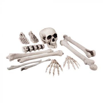 Halloween Schädel und Knochen Skelett 12 Teile - 25 cm