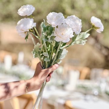 Ranunkel Blumen Weiß 3x